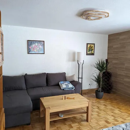 Waldblick Im Erzgebirge * Pockau