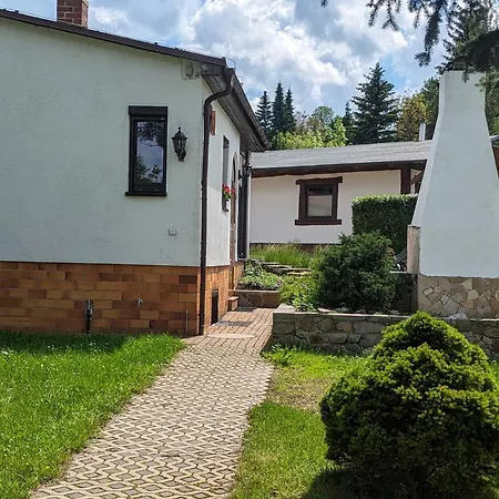 Waldblick Im Erzgebirge